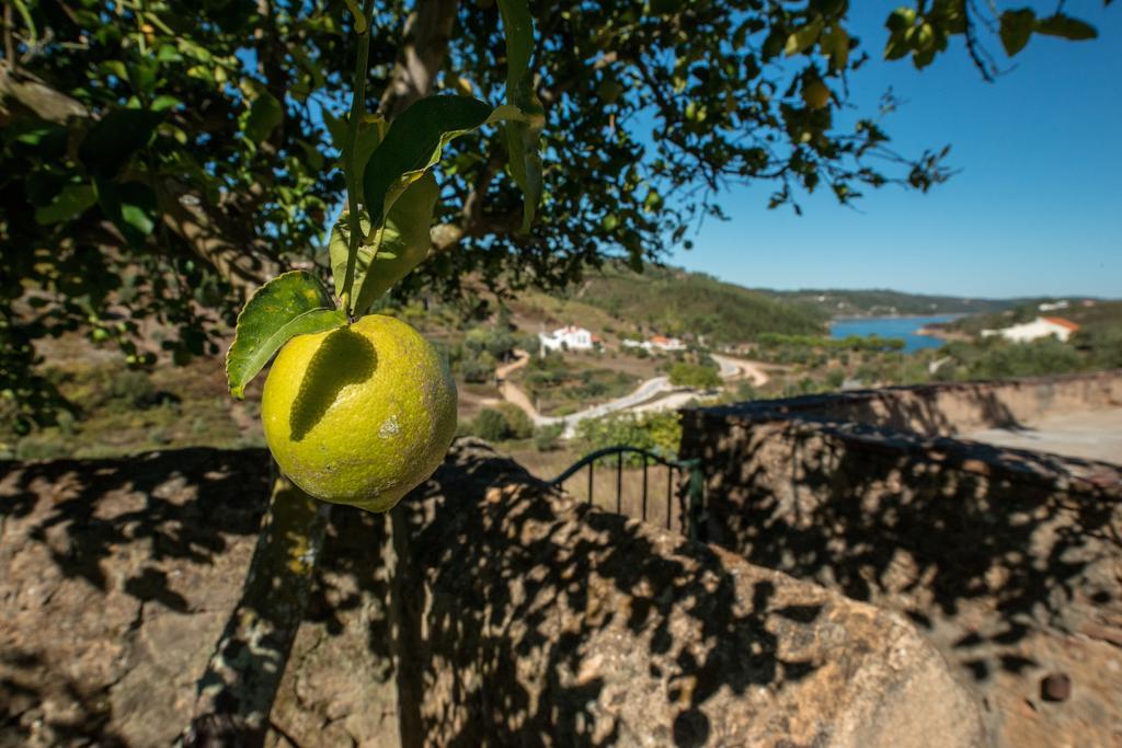Quinta Da Eira Velha Guest House Aldeia do Mato  ภายนอก รูปภาพ